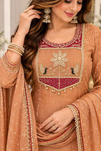 amazing-salsa-embroidered-and-handwork-suit-set-with-lining-2